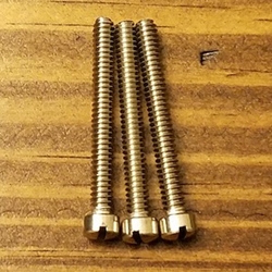 Screws - Telecaster 6-32 x 1-1/4" Slotted Fillister Head Intonation Screws, Stainless Steel